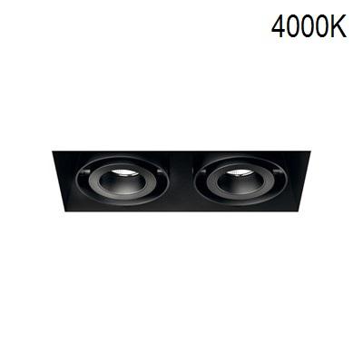 Двоен кардан KARDAN-TL 2X12/18W LED 4000K 