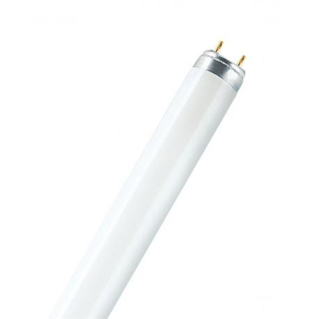 L 58W/76 T8
