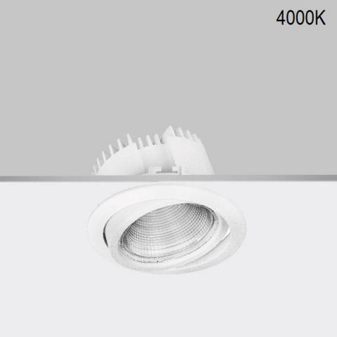 Adjustable downlight RA 11 DIXIT LED 12/18/21W 4000K IP20  