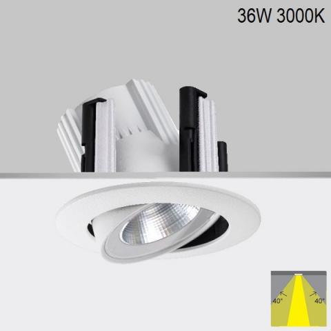 Adjustable downlight RA 17 DIXIT LED 36W 3000K IP20 
