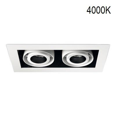 Двоен кардан KARDAN-IN 2X12/18W LED 4000K 