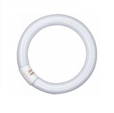 Circular fluorescent lamp L 32 W/865 G10Q